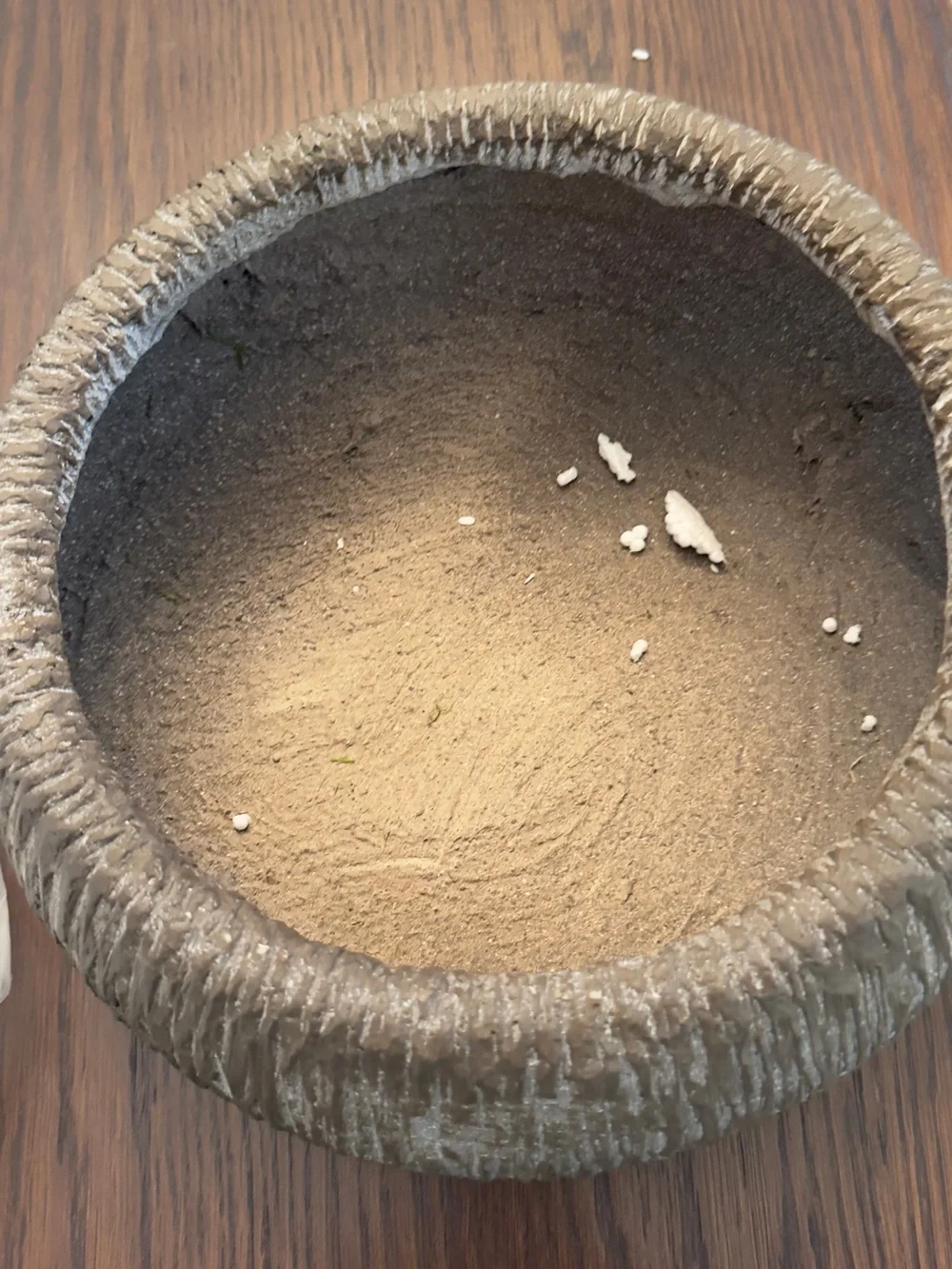 Textured Round Decorative Bowl in Taupe